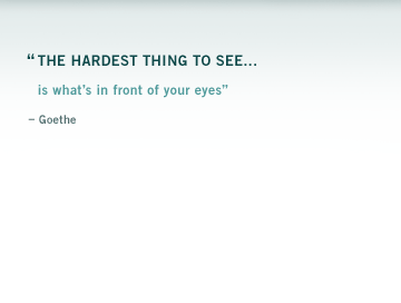 "The hardest thing to see is whats in front of your eyes"  Goethe